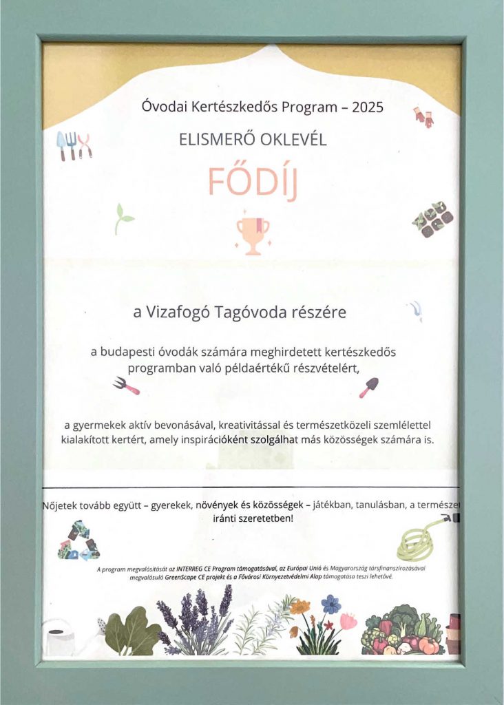 Elismerő oklevél 